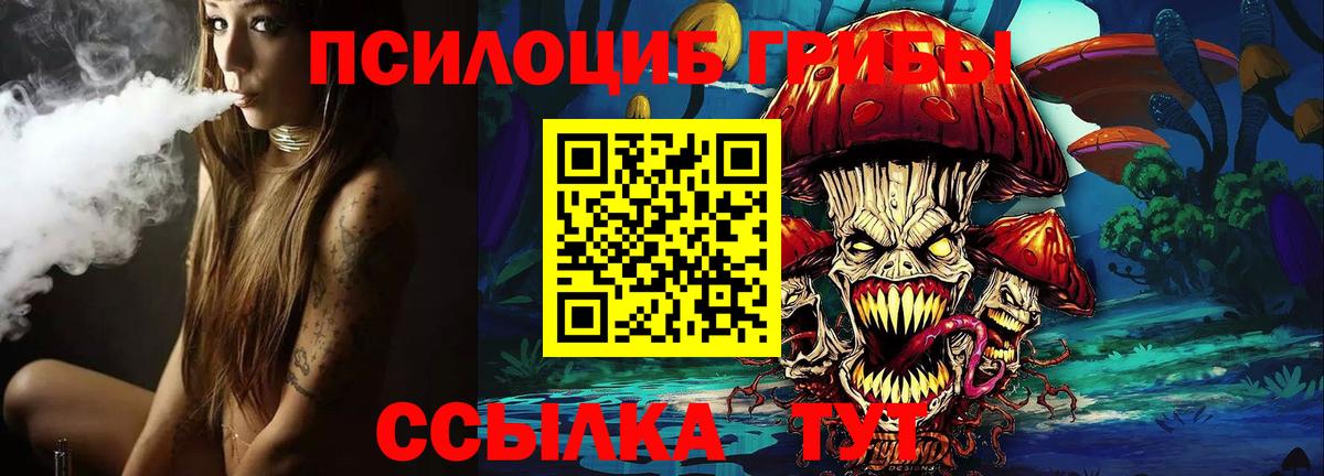 Псилоцибиновые грибы мицелий  Псилоцибиновые грибы мицелий  Астрахань  Вход с VPN 