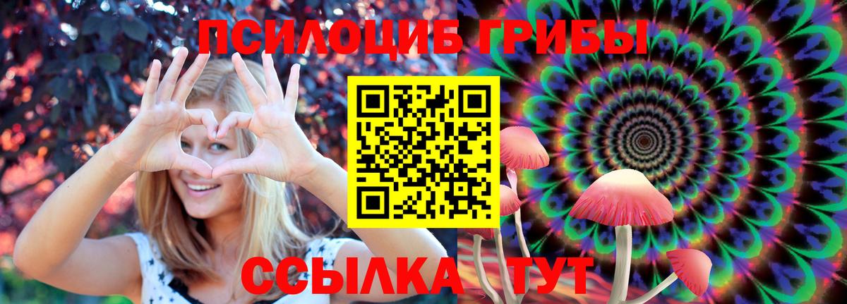 Галлюциногенные грибы Psilocybe Астрахань